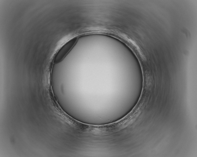 X0000111181365200907221040