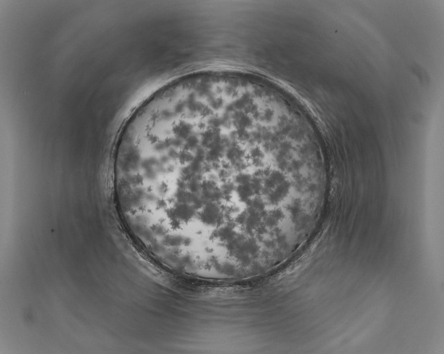 X0000111181367200907221040