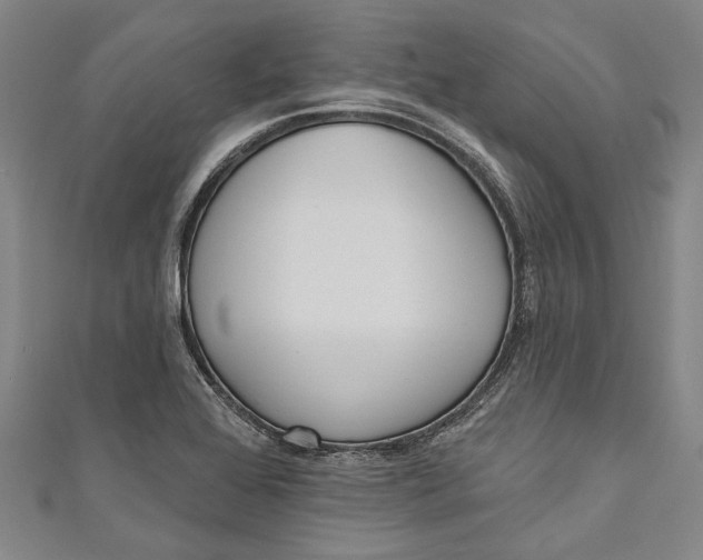 X0000111181368200907221040