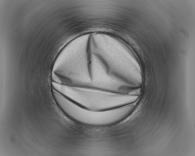 X0000111181369200907221040