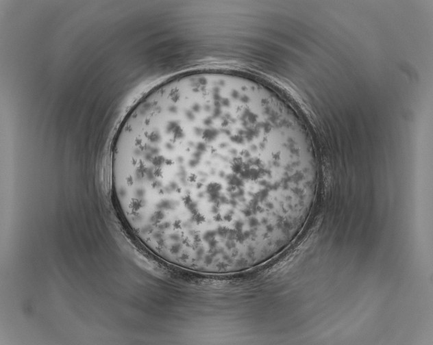 X0000111181371200907221040