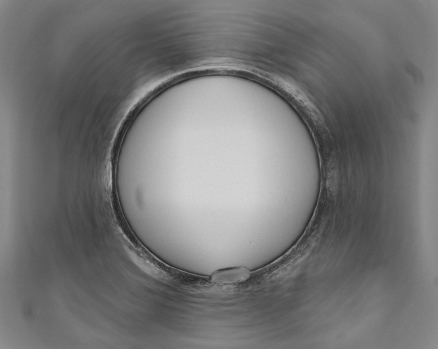 X0000111181372200907221040