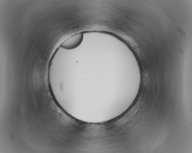 X0000111181374200907221040