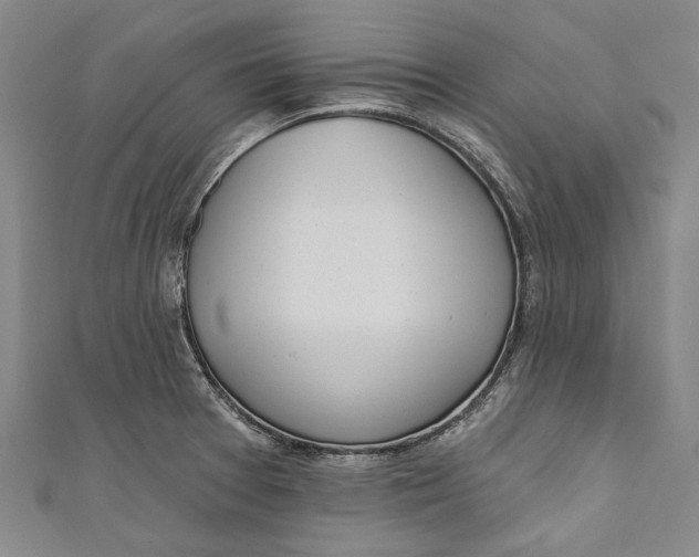 X0000111181377200907221040