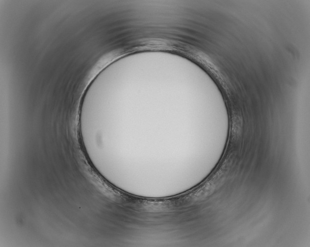 X0000111181378200907221040