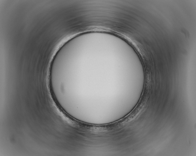 X0000111181379200907221039