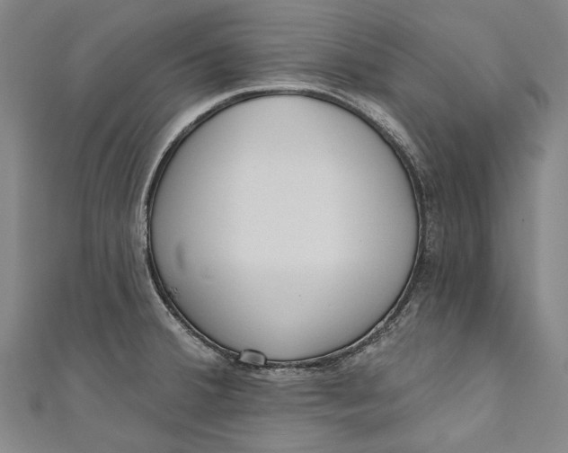 X0000111181380200907221039