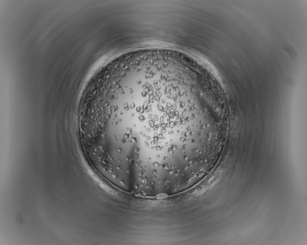 X0000111181381200907221039