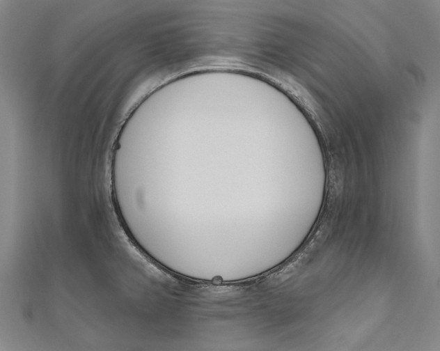 X0000111181382200907221039