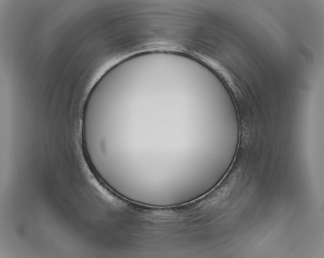 X0000111181383200907221039