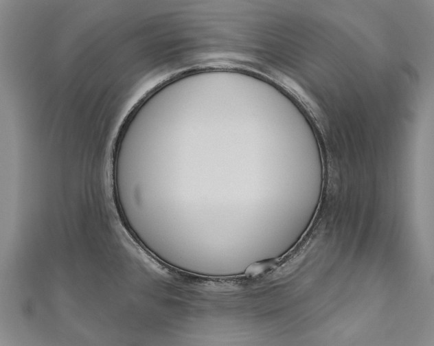 X0000111181384200907221039