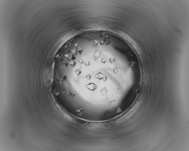 X0000111181385200907221039