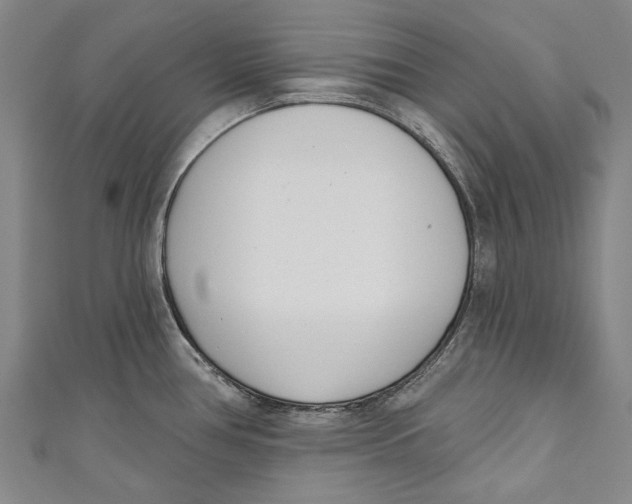 X0000111181386200907221039