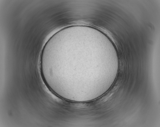 X0000111181387200907221039