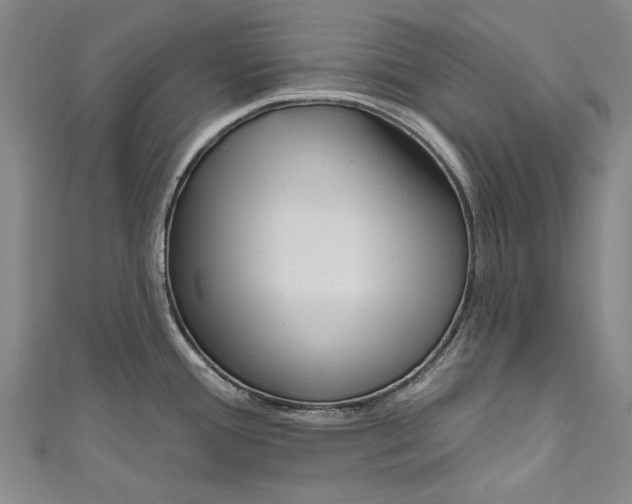 X0000111181388200907221039