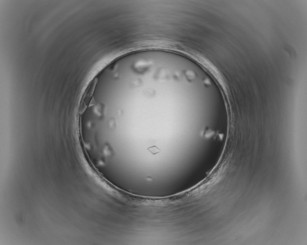 X0000111181389200907221039