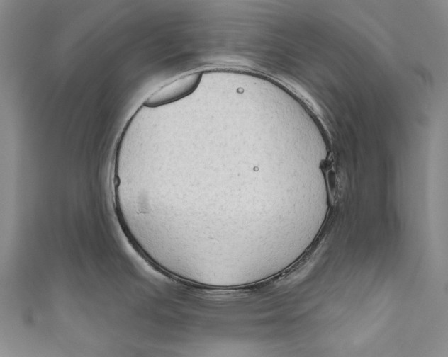 X0000111181391200907221039