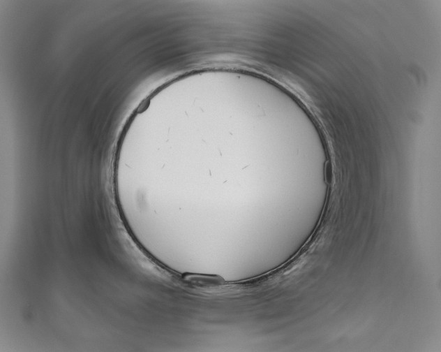 X0000111181392200907221039