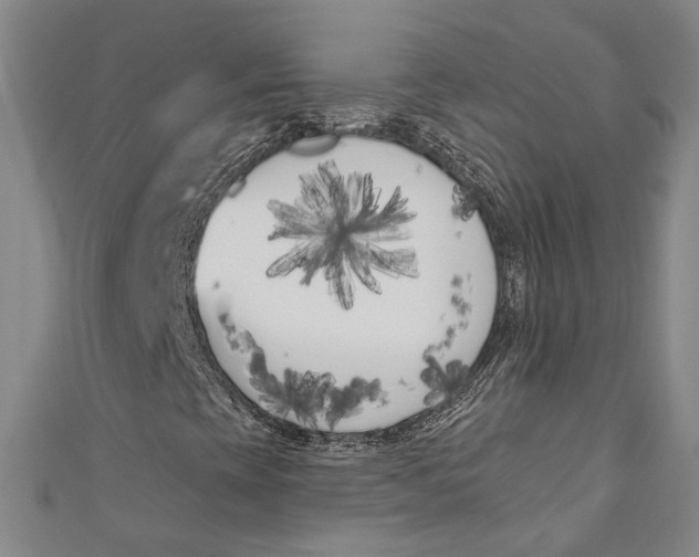 X0000111181393200907221039