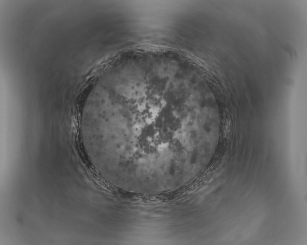 X0000111181397200907221039