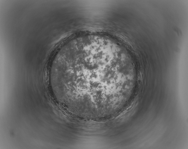 X0000111181398200907221039