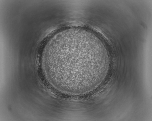 X0000111181399200907221039