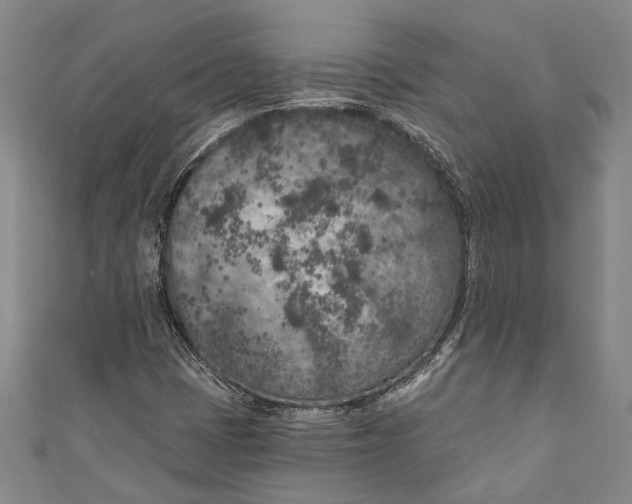 X0000111181401200907221039