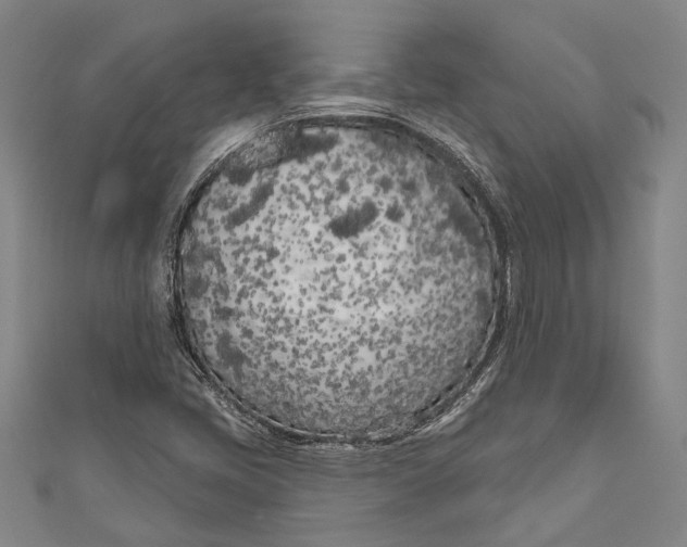 X0000111181405200907221039