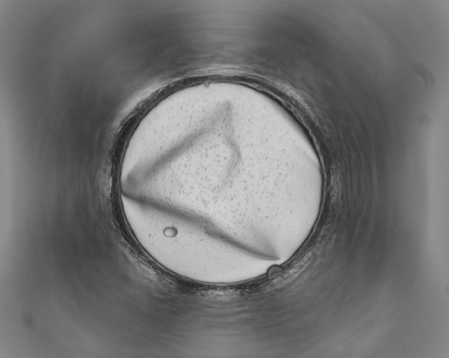 X0000111181406200907221039