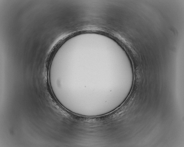 X0000111181408200907221039