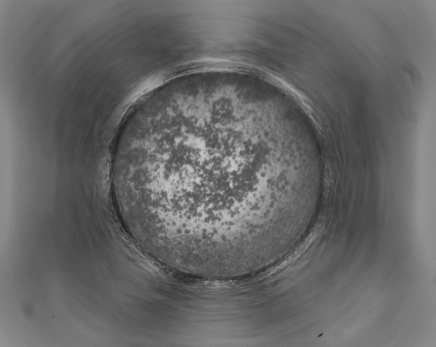 X0000111181411200907221039