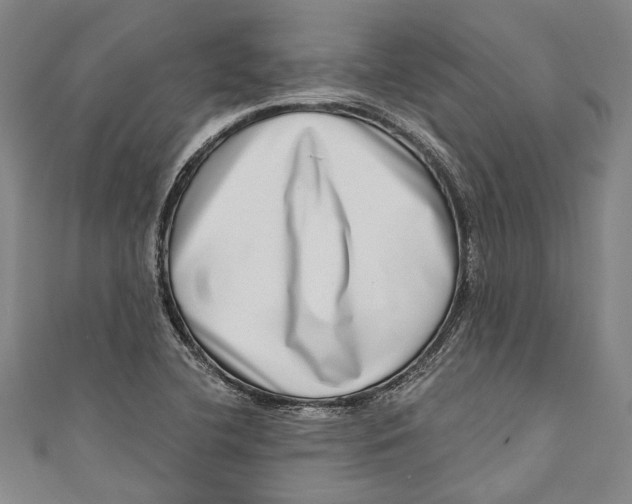 X0000111181412200907221039