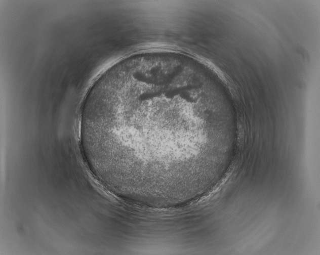 X0000111181413200907221039