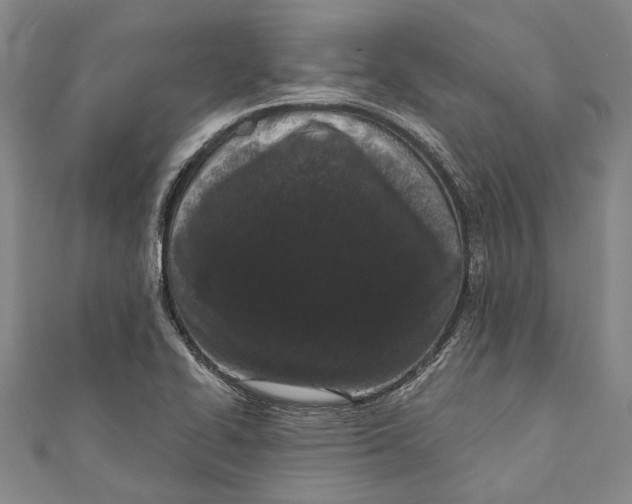 X0000111181414200907221039