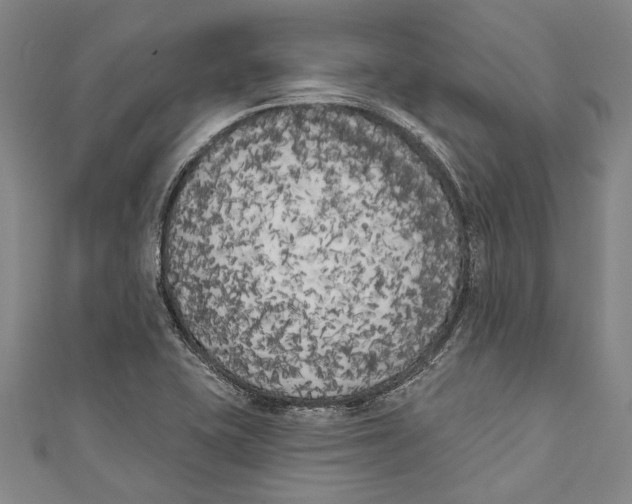 X0000111181415200907221039