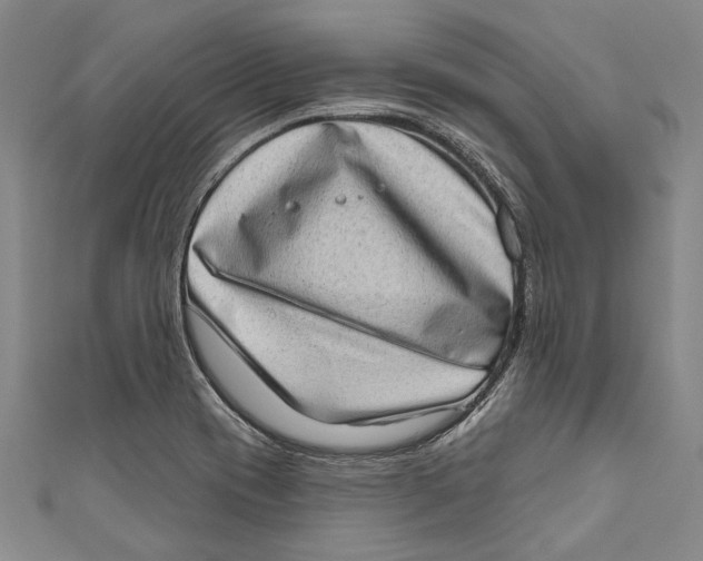 X0000111181417200907221039