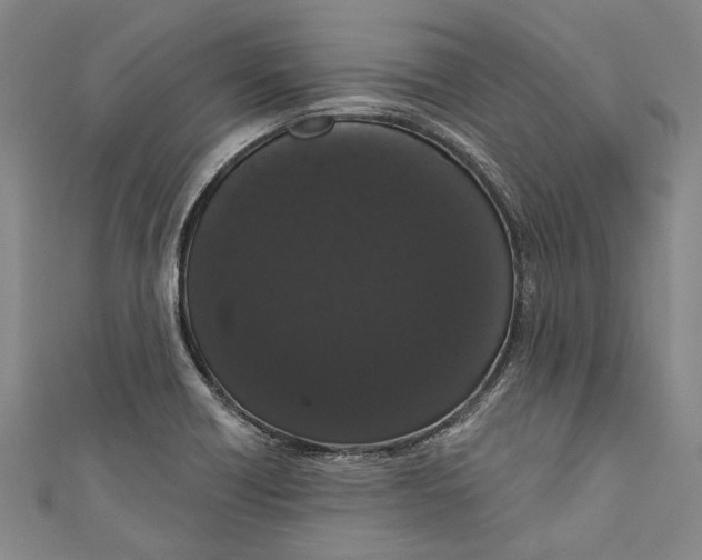 X0000111181418200907221039