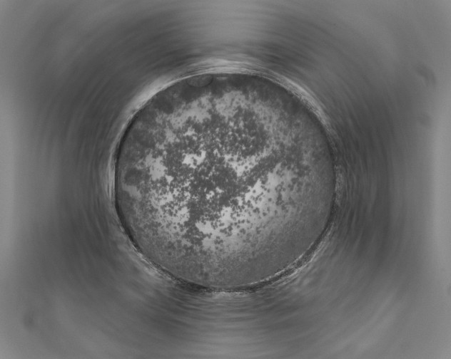 X0000111181419200907221039