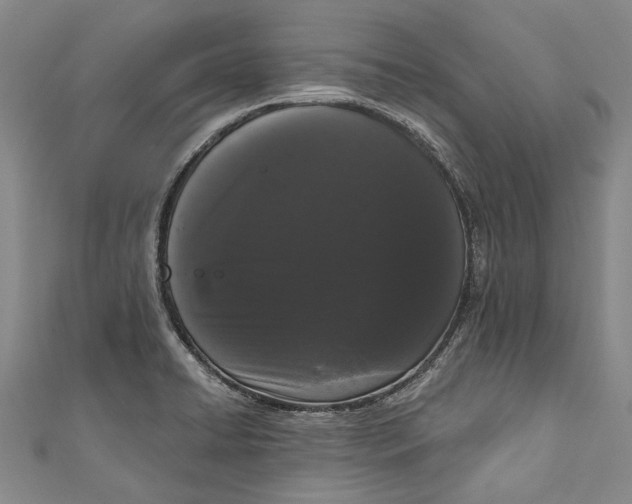 X0000111181422200907221039