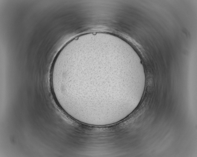 X0000111181423200907221039