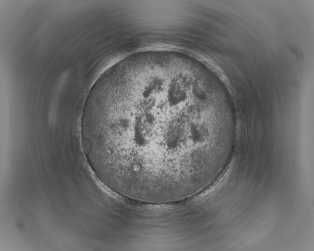 X0000111181425200907221039