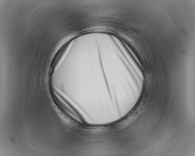 X0000111181426200907221039