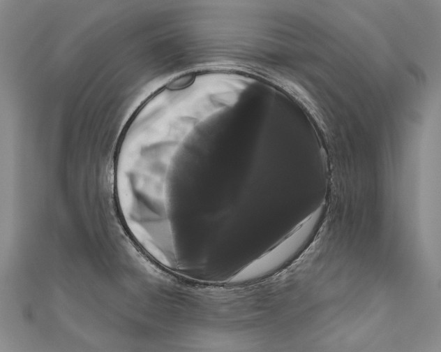 X0000111181428200907221039