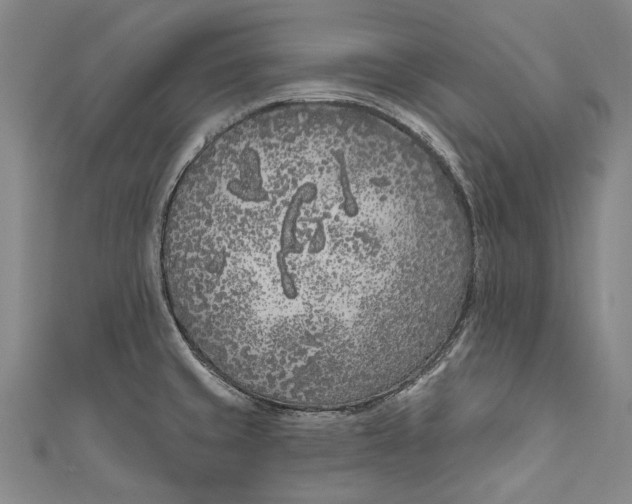 X0000111181429200907221039