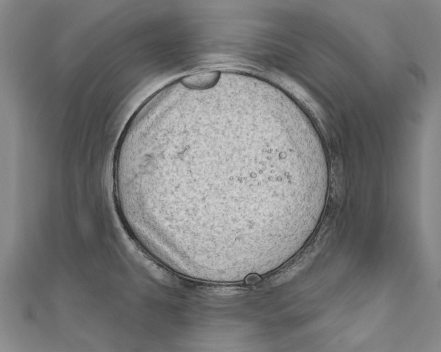 X0000111181431200907221039