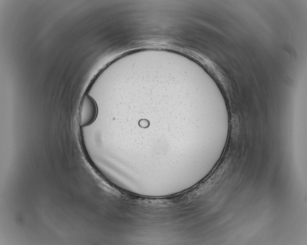 X0000111181432200907221039