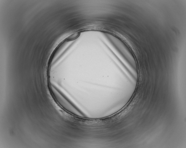 X0000111181434200907221039