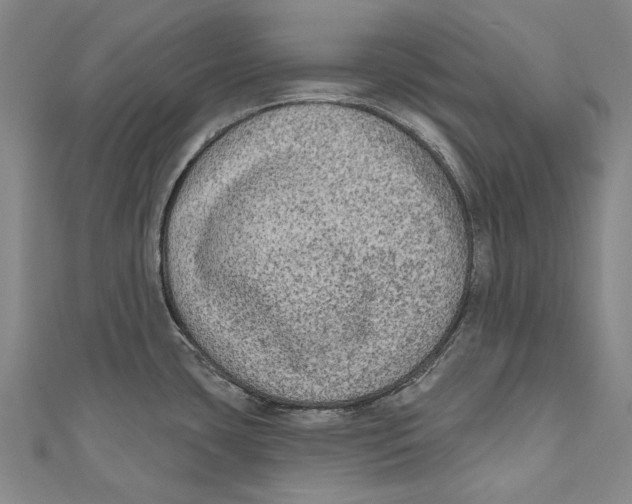 X0000111181435200907221039