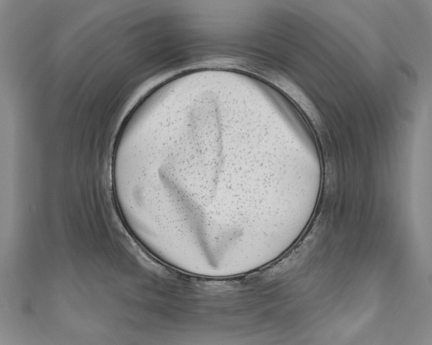 X0000111181436200907221039