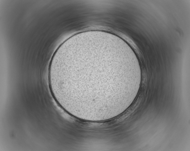 X0000111181439200907221039